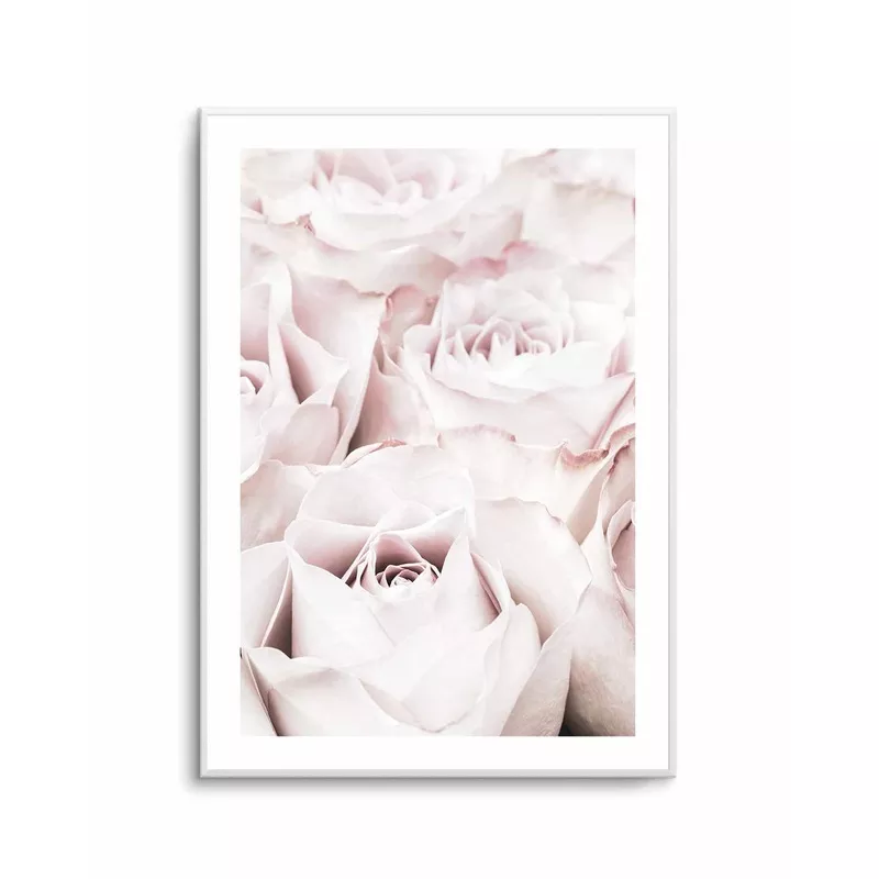 Pink Roses No 04 By Studio III | Art Print